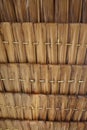 photo of palm tree roof