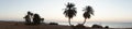 Photo panorama. Date palms against the backdrop of sunrise over the Red Sea in the Gulf of Aqaba. Dahab, Egypt Royalty Free Stock Photo