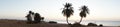 Photo panorama. Date palms against the backdrop of sunrise over the Red Sea in the Gulf of Aqaba. Dahab, Egypt Royalty Free Stock Photo