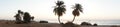 Photo panorama. Date palms against the backdrop of sunrise over the Red Sea in the Gulf of Aqaba. Dahab, Egypt Royalty Free Stock Photo