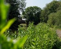 A photo of Parsons Bridge in the distance over the River Soar Leicester, UK