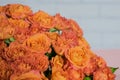 A part of huge bouquet of roses, against white brick wall background. Royalty Free Stock Photo