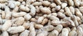 Photo of peanut shell food, peanut food background