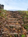 Pedestrian wooden stairs, tree leaves on footbridge, autumn day