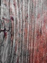Very sharp texture of a wooden plank
