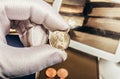 Photo of a person\'s hand in gloves holding australian coin