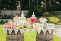 Photo with picnic decoration for a holiday with large bottles of lemonade and cocktails organized on two large wooden barrels, a