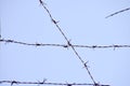 Dangerous Barbed Wire