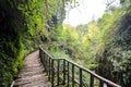 Pathway Wooden Footbridge