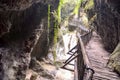 Pathway Wooden Footbridge Royalty Free Stock Photo