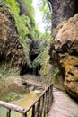 Pathway Wooden Footbridge Royalty Free Stock Photo