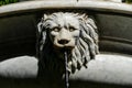 Photo Picture Image of marble water fountain faucet lion Royalty Free Stock Photo