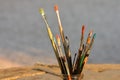 Old Dirty Used Paintbrushes Royalty Free Stock Photo