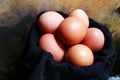 hoto of a pile of chicken eggs in a chicken farm