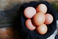 Photo of a pile of chicken eggs in a chicken farm Royalty Free Stock Photo