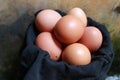 Photo of a pile of chicken eggs in a chicken farm Royalty Free Stock Photo