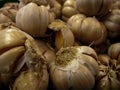 Photo of pile of Garlic Royalty Free Stock Photo