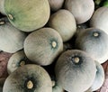 Photo of a pile of large, fresh melons that are ripe, the inside is fresh, green and yellow. Royalty Free Stock Photo