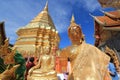 Place, of, worship, wat, religion, temple, pilgrimage, tradition, statue, gautama, buddha, shrine, carnival, pagoda, tourism, hind