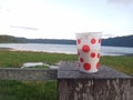 a photo of a plastic cup with a lake view as the background Royalty Free Stock Photo