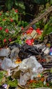 photo of plastic waste that blocks water
