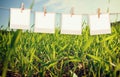 Photo polaroid frames hanging on a rope over summer field landscape background