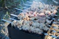 Photo of pork kebab, which is fried on the grill in a camp at sunset. Smoke rises from the grill. Fosus on the middle plan