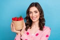 Photo portrait of attractive woman hold strawberry market shopping wear trendy pink print outfit isolated on blue color Royalty Free Stock Photo