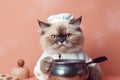 Photo portrait of happy cute cat dressed as chef , concept of Feline happiness, created with Generative AI technology