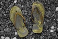 Photo portrait of a pair of dark yellow mountain sandals background