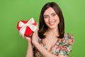 Photo portrait of young charming girl brown hair receive gift box surprise from her valentine boyfriend isolated on Royalty Free Stock Photo