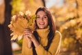 Photo of positive cheerful girl enjoy autumn forest rest relax hold collect yellow maple leaves wear collar jumper