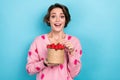 Photo of positive cute girl wear pink stylish clothes hands hold fresh strawberry basket yummy vitamins isolated on blue Royalty Free Stock Photo