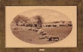 Photo postcard of farm in Egypt 1900s