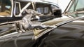 Photo of a prancing deer mascot with reflection on the hood of a black Soviet classic legendary retro car. Chromed metal symbol of