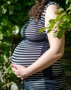 Photo of a pregnant woman in a striped dress. Side view of the abdomen. In profile. Hands on the stomach. Against the