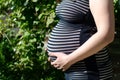 Photo of a pregnant woman in a striped dress. Side view of the abdomen. In profile. Hands on stomach