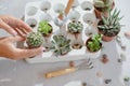 Photo of preparing a group of succulents and cacti for transplanting.