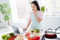 Photo of pretty asian housewife cutting fresh vegetables mixing salad ingredients cooking tasty vegan meal look search Royalty Free Stock Photo