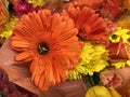 Pretty Orange and Yellow Valentines Day Flowers for Sale