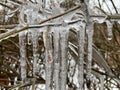 Pretty Frozen Clear Winter Icicles in February