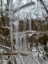Pretty Frozen Winter Icicles in February