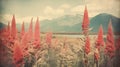 Vintage Red Flowers With Mountains In Noddins\' Field