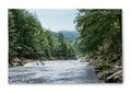 Photo printed on canvas, white background. Wild mountain river flowing along rocky banks in forest Royalty Free Stock Photo