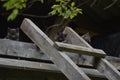 Photo project `The life of cats in the attic` Three different gray little kittens are sitting in the attic of the building. Royalty Free Stock Photo