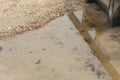 Water Puddle on sandy Beach with rocks Royalty Free Stock Photo