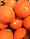 Photo pumpkin on the counter supermarket