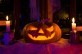 Photo pumpkins for Halloween. All Saints` Day. Royalty Free Stock Photo