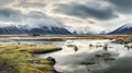 Arctic Wetland: A Serene Landscape Of Water, Mountains, And Green Grass