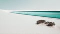 picture of a quiet and peaceful beach